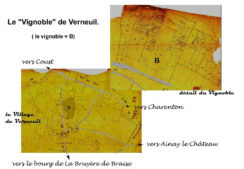 Cadastre, vignoble de Verneuil